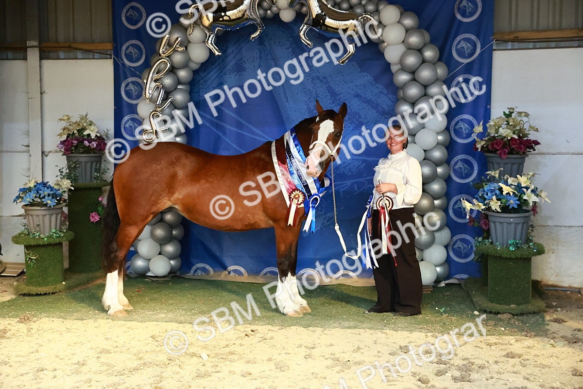 SBM_17995 - M&M Supreme Final Champ