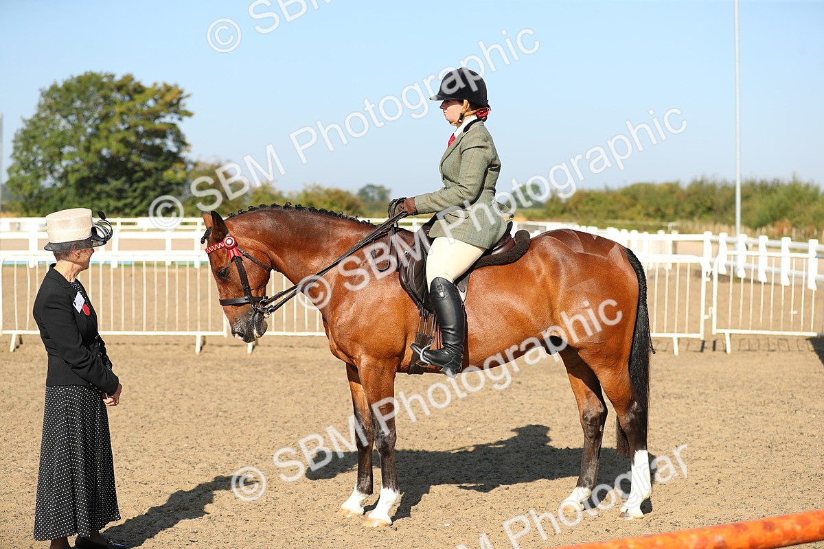 SBM_01208 - Class 42 Ridden Veteran