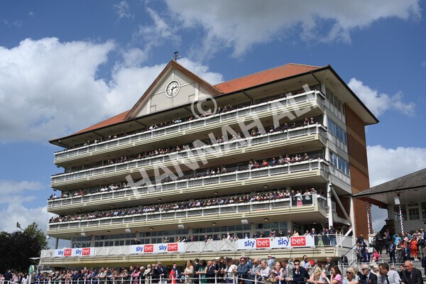 yr10062022r2-14 - Race 2 2.30pm SKF Rous Selling Stakes