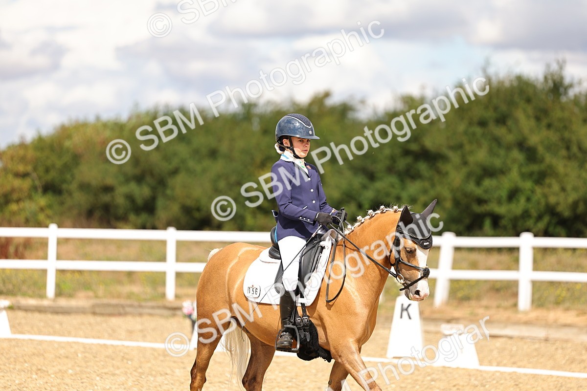 SBM_004677