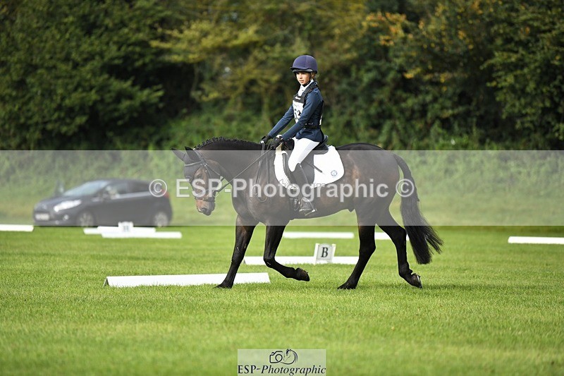 230826-091817-15079 - Sections C & D 9 to 10am