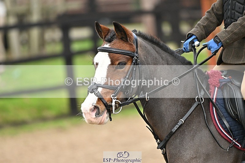 241110-102726-00306 - 40cm Showjumping
