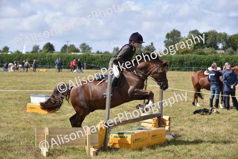20250831-3927 - Class 11 - Working Hunter Pony 13hh and Under