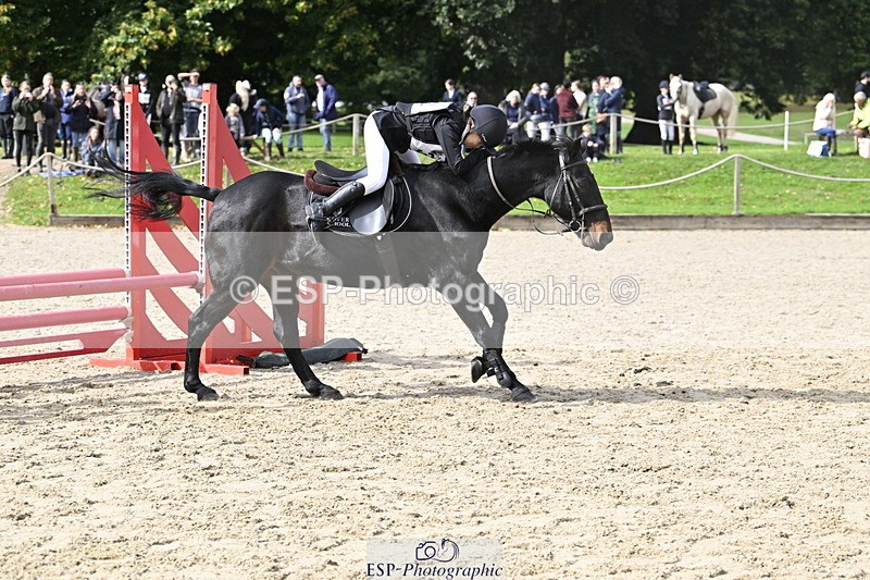 251005A-125625-03968 - Cls 08 Mini 70-75cm