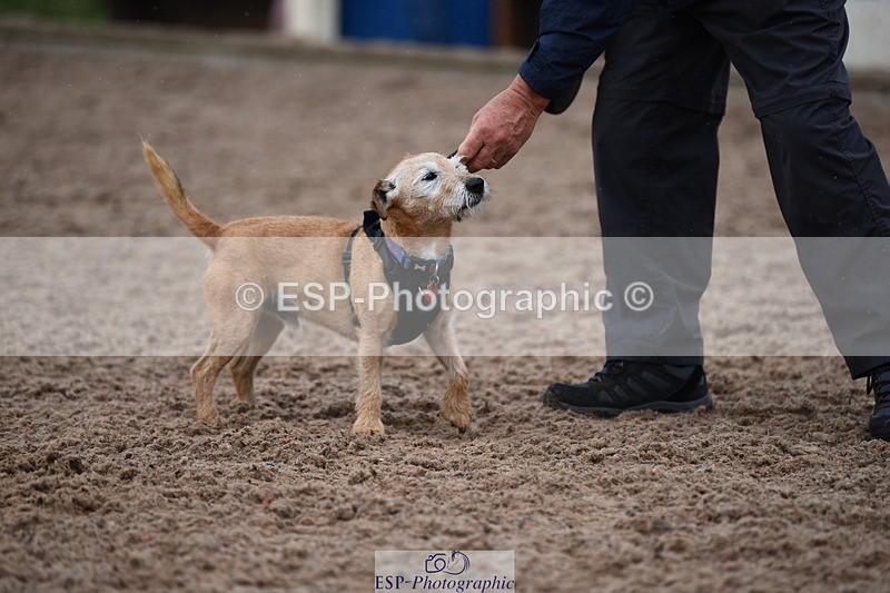 240518A-130000-01226 - Cls 6 Best Veteran