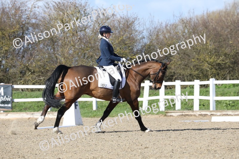 20260314-4938 - CT6 - Elementary 1