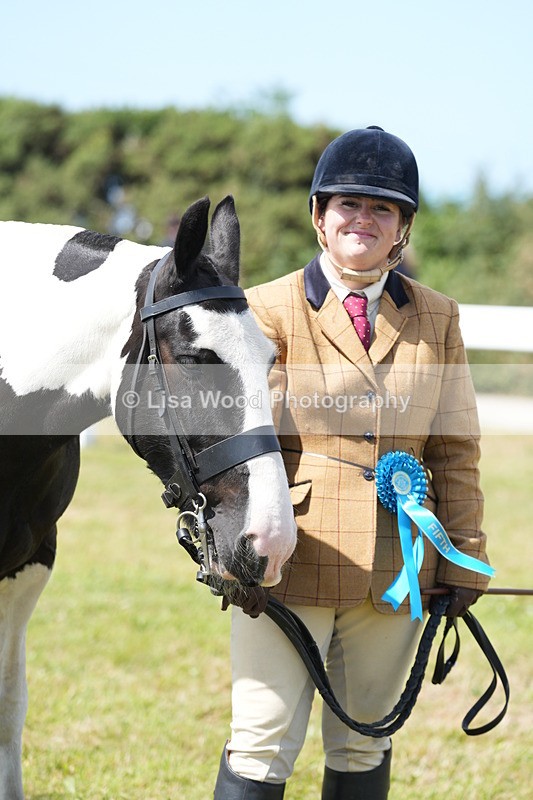 DSC07156 - Class 61: Coloured Horse 4yrs & Over