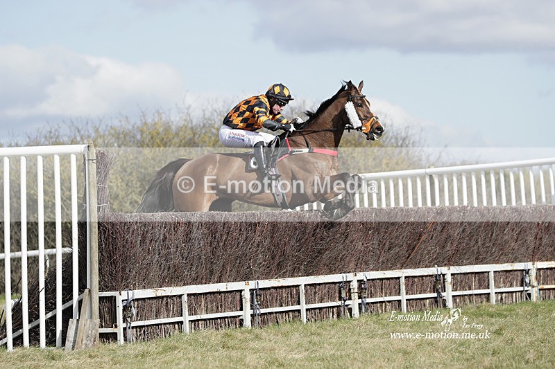 PtP 260223 452 - South & West Wilts Point-to-Point Larkhill 26/02/23