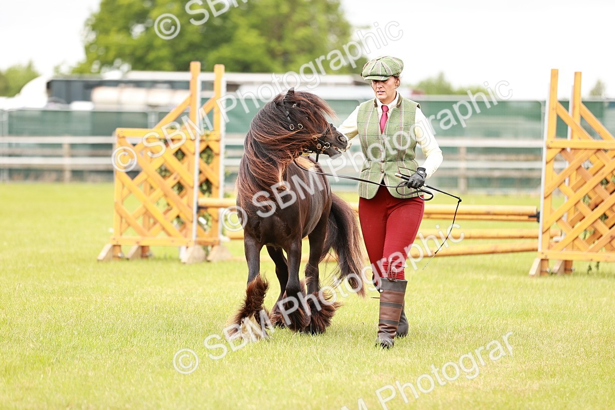SBM_05989 - Class 39-41 TGCA In Hand and Ridden
