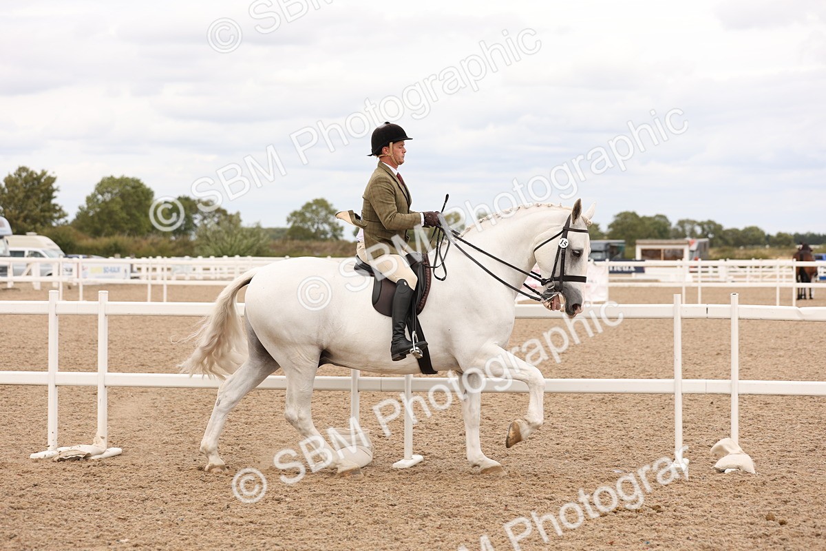 SBM_17203 - Class 213 - Ridden Hunter - Large