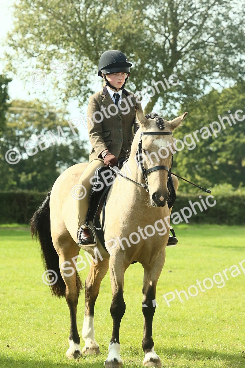 SBM_68945 - S58 - Mini Show Cob Ridden