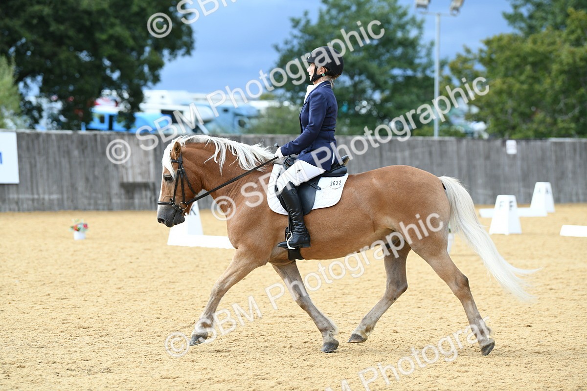 SBM_10895 - D28 Elementary Taster Elementary 42