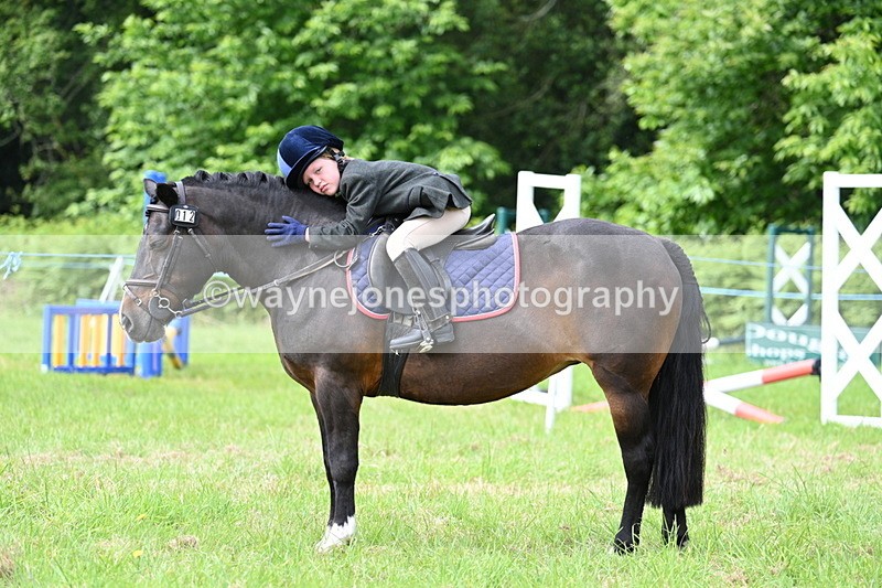 WJ7_0931 - Class 8 First Rally Pony