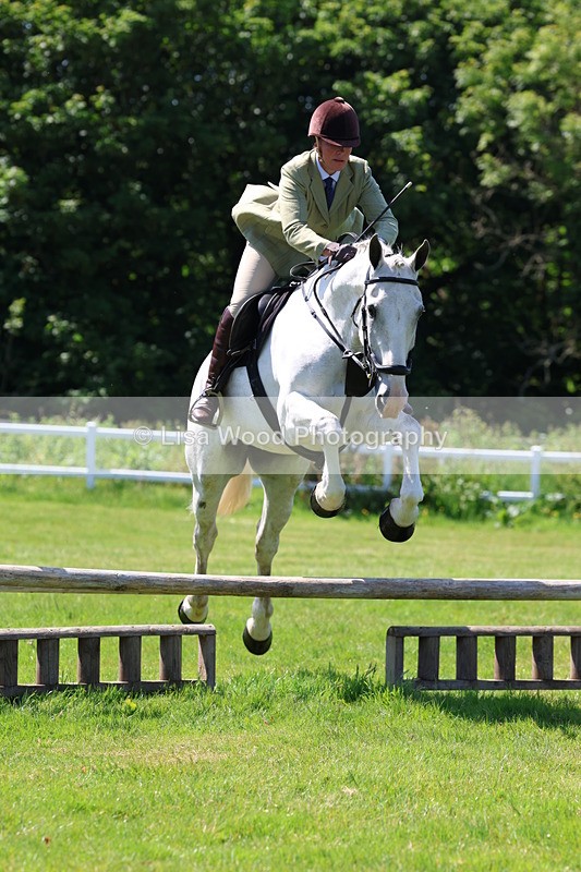 3E7A6902 - Class 30: Novice Working Hunter