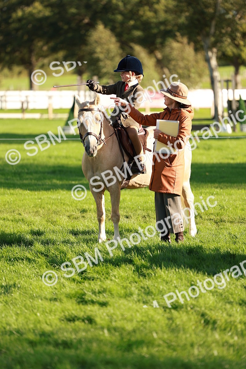 SBM_28749 - S7 - Novice & Newcomer Ridden Pony