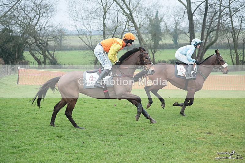 PtP 100324 999 - Pytchley with Woodland Point-to-Point Guilsborough 10/03/24