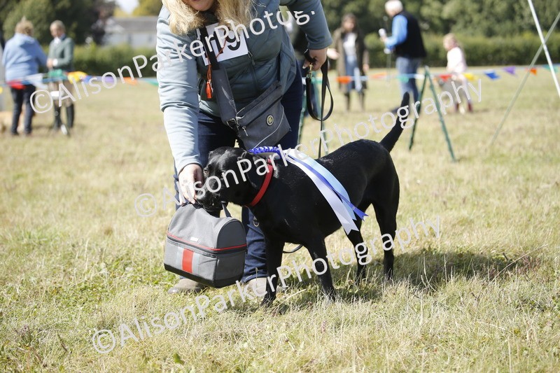 20250831-3732 - Dog Show