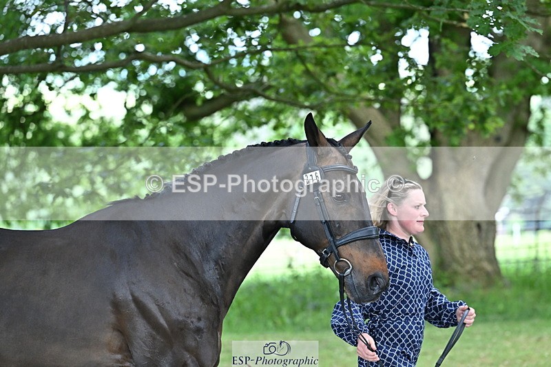 250521A-155306-00821 - B-376-Lucy.Robinson-BELLINE.SECOND.CHANCE