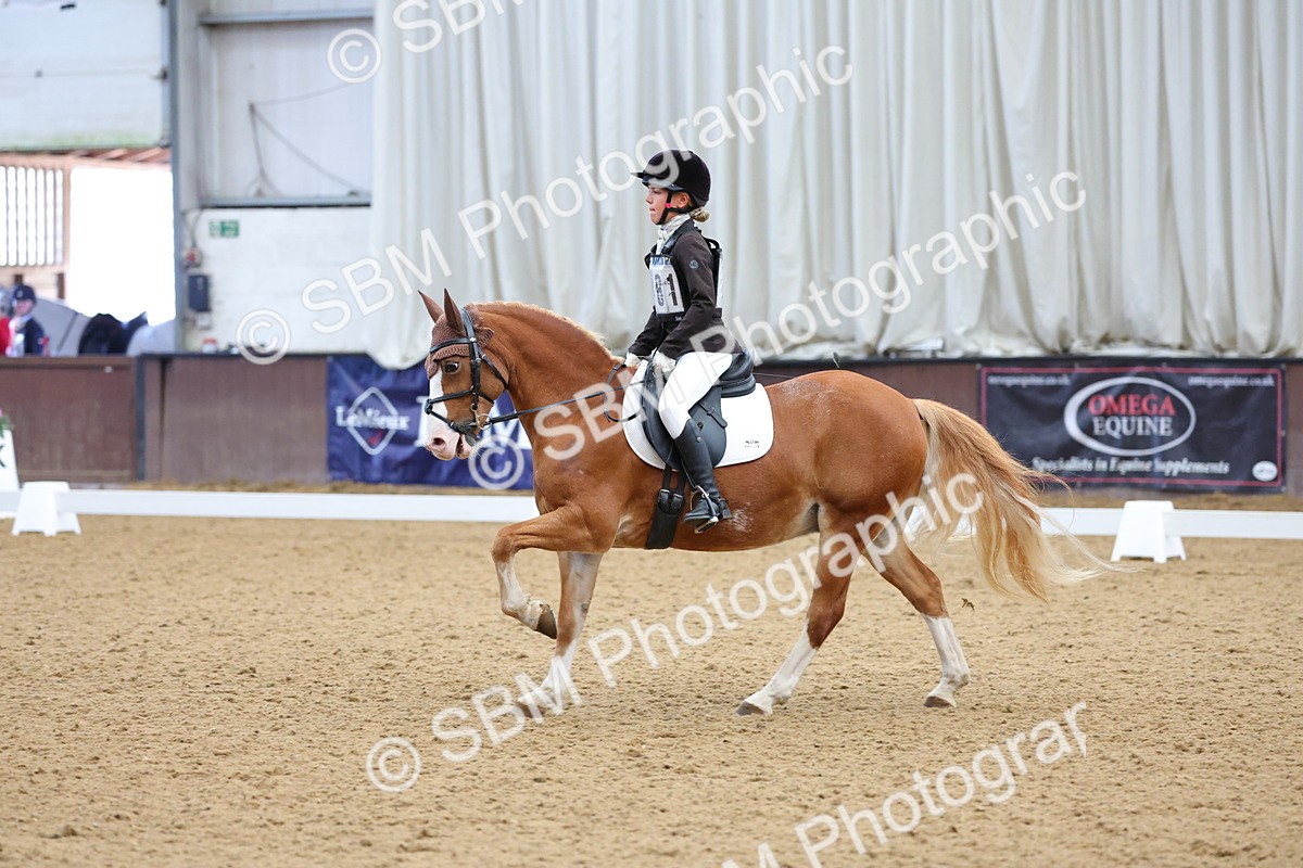 SBM_002966 - Novice