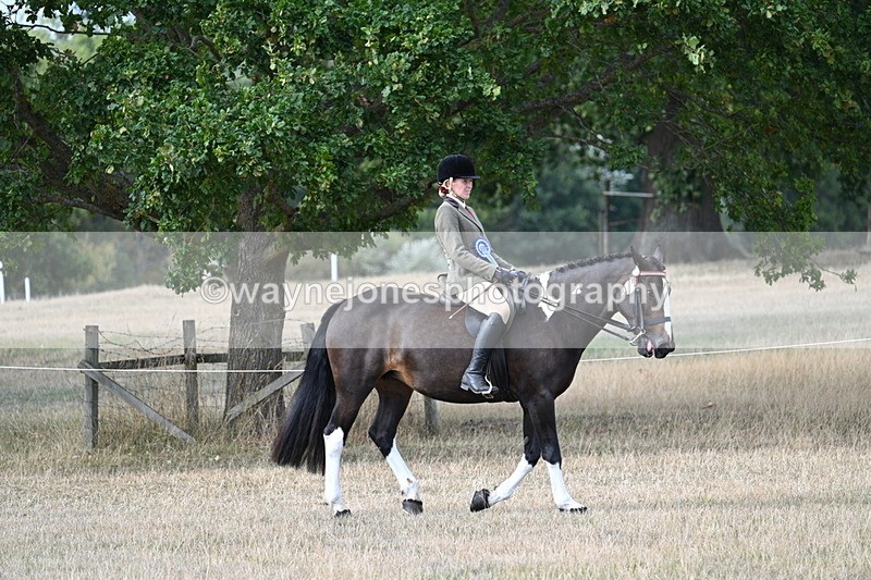 WJ7_7584 - Ridden Championship