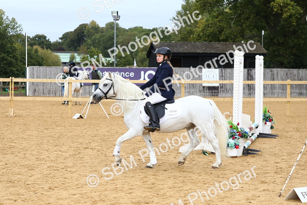 SBM_68107 - J3b - Mini Tour Junior Pony 40cm Championship