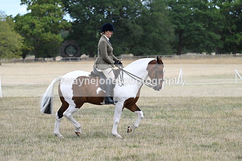 WJ7_4871 - Class 12 Ridden Cob