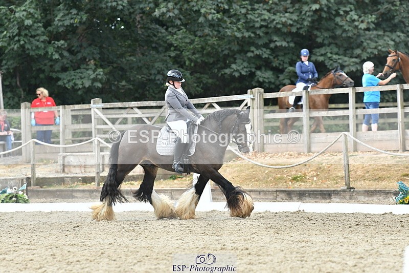 260801A-121833-03883 - Prelim SIlver Break - End