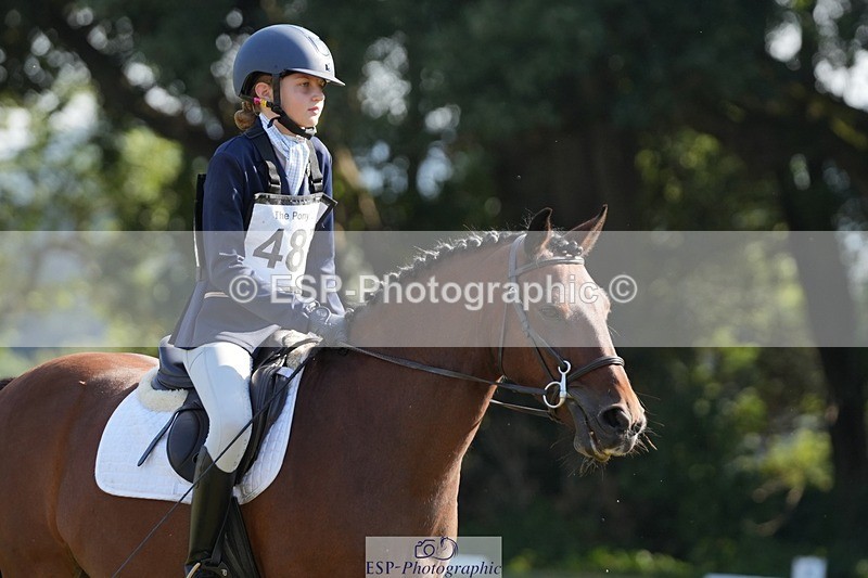 250823A-094831-26649 - Arena B