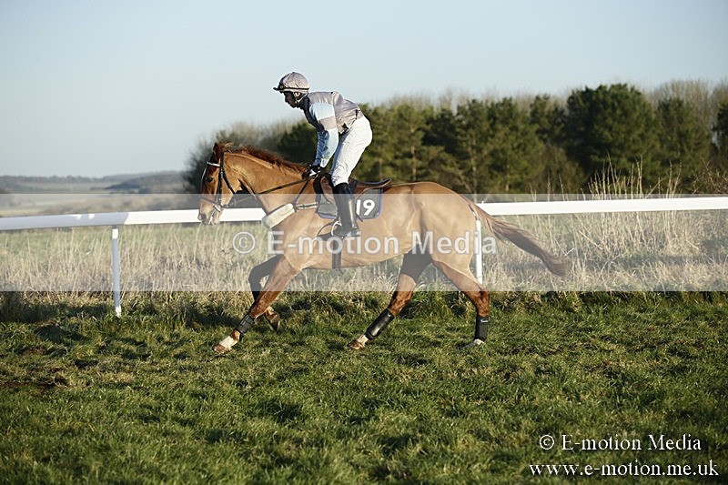 PtP 070118 -659 - Larkhill Racing Club Point to Point Larkhill 07/01/2018