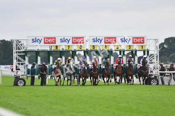 yr24072021r5-39 - Race 5 4.25pm Sky Bet Best Odds Guaranteed Stakes