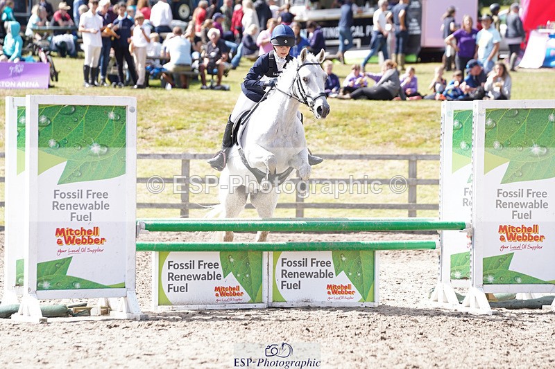 240824X-133800-27845 - 80cm Round 1 13.00 to 14.00