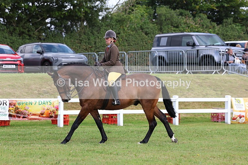 3E7A9332 - Class 4: Rising Star M/H Hunter