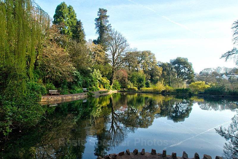 TQ216 - Reflections on The Lakes at Cockington - Greetings Cards Cockington