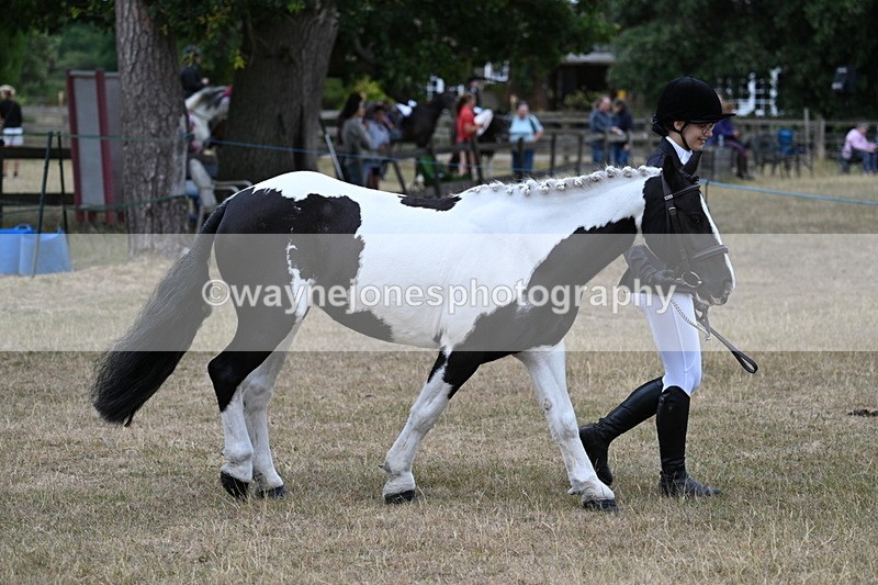 WJ7_8364 - Class 4 Prettiest Mare up to 14.2hh