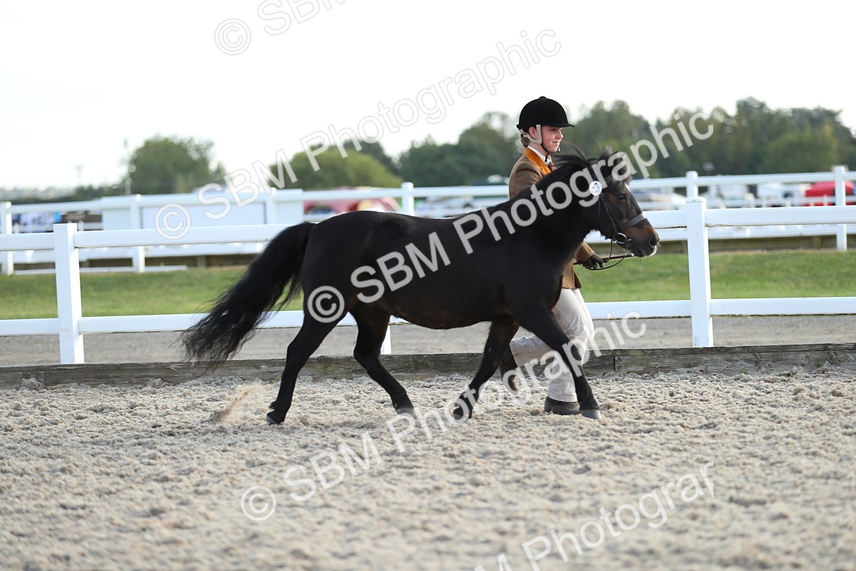 SBM_08916 - Class 29 IH Veteran Pony