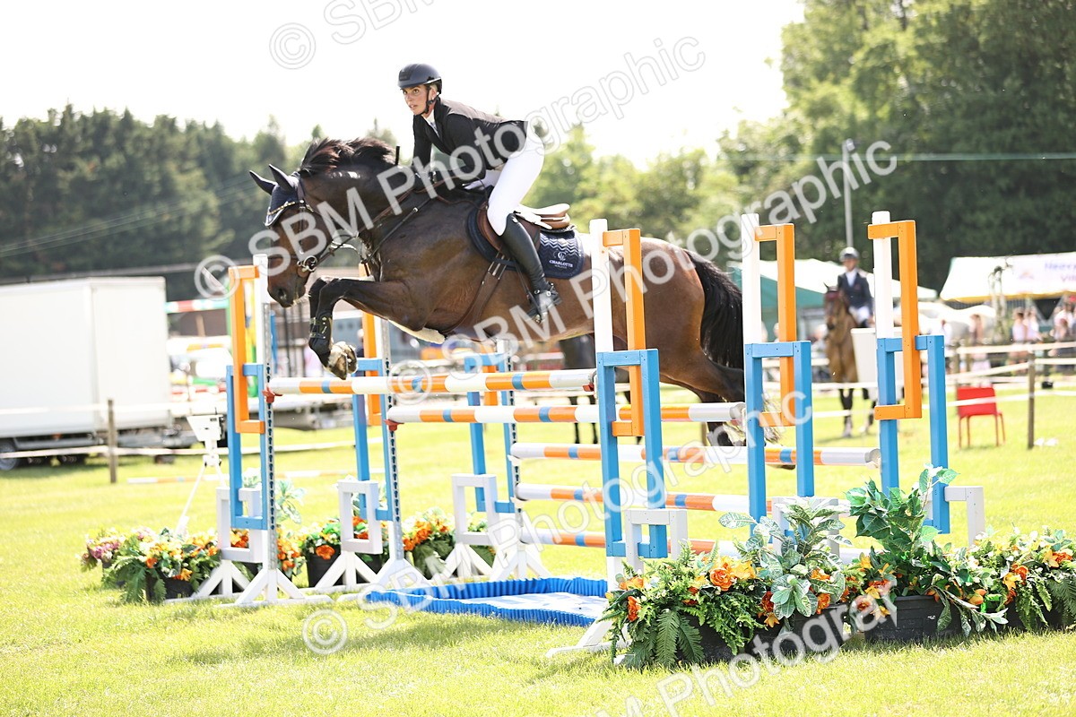 SBM_03222 - Class 201 - British Horse Feedds Speedi Beet HOYS Grade C