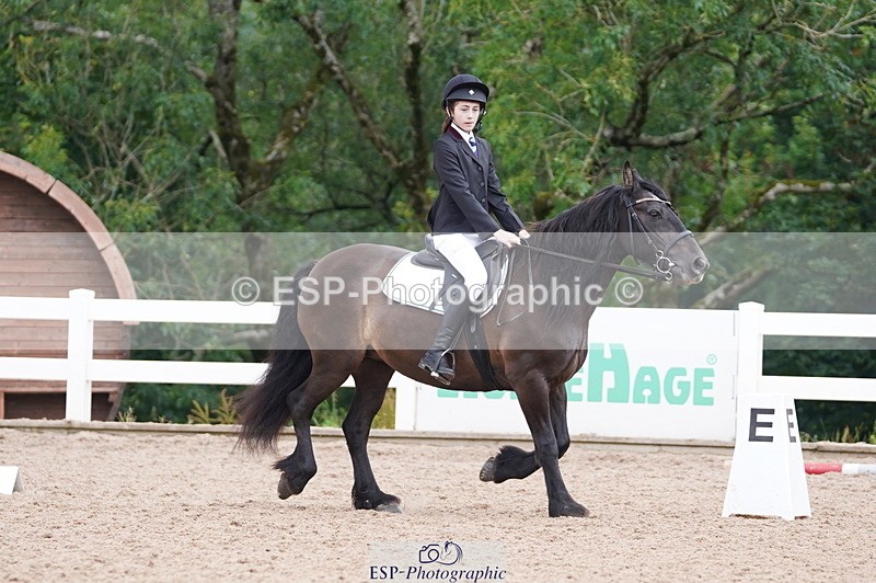 240809A-095234-00346 - Dressage Competition