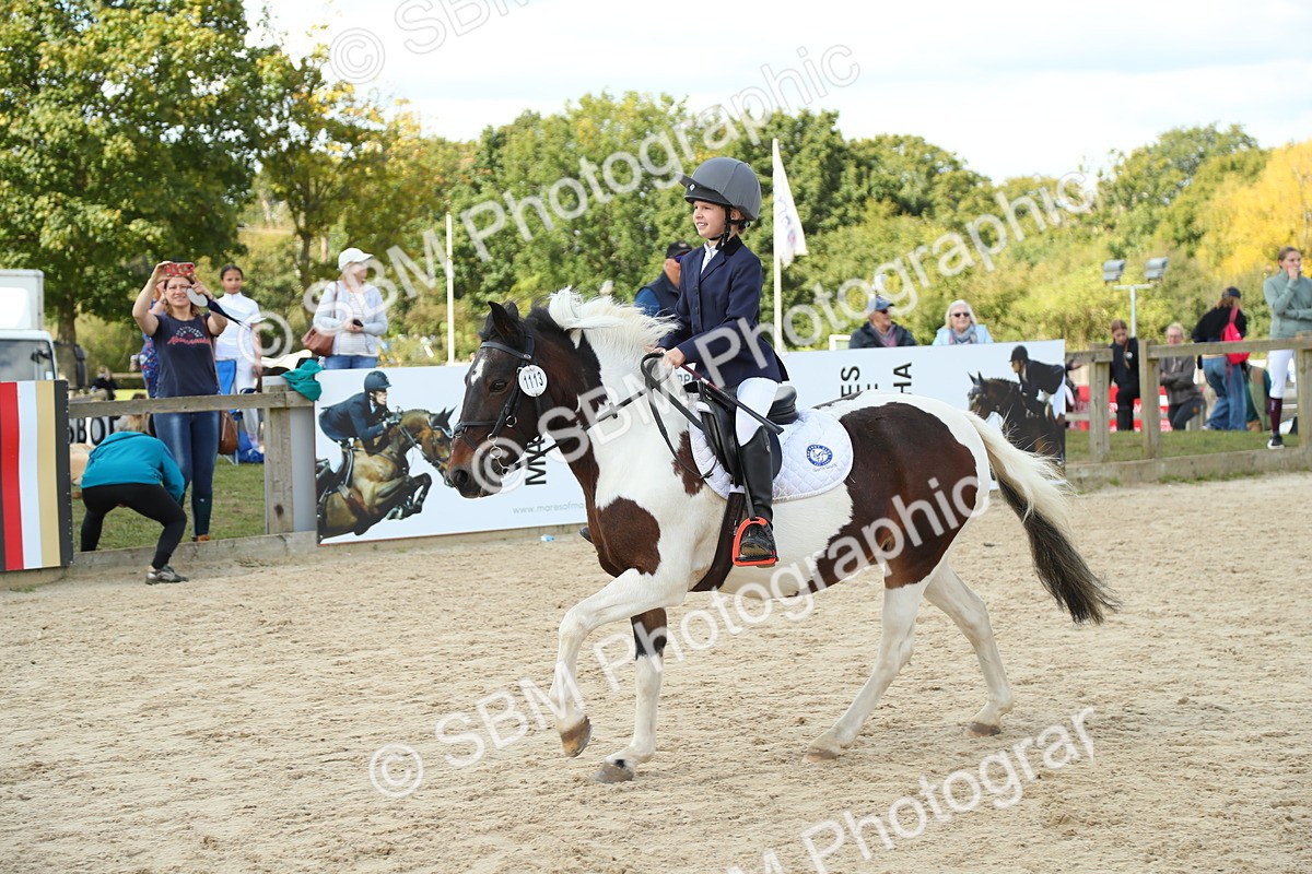 SBM_41553 - J6 - Junior Pony 55cm Championships
