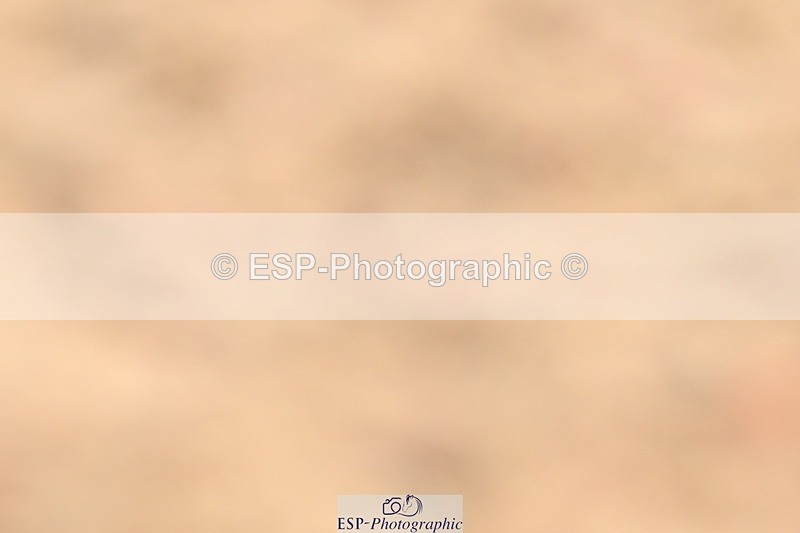 250621-112908-08227 - Cls 26 - Novice 5 Start to 12