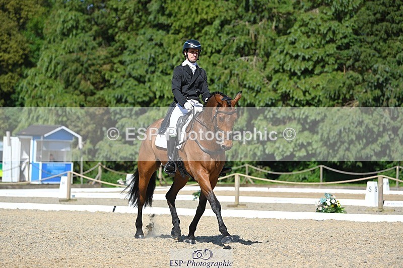 230526-161620-07315 - 255-HI_MR_HENRY-Henry_Hobby-WEDTrotUp+DR