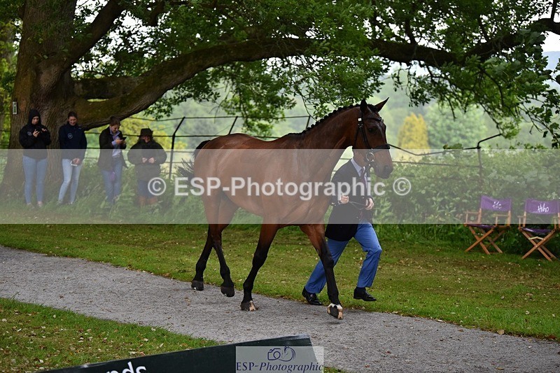 240522-151240-00168 - 308-COOLEY_ANYTHING_YOU_LIKE-Harry_Meade