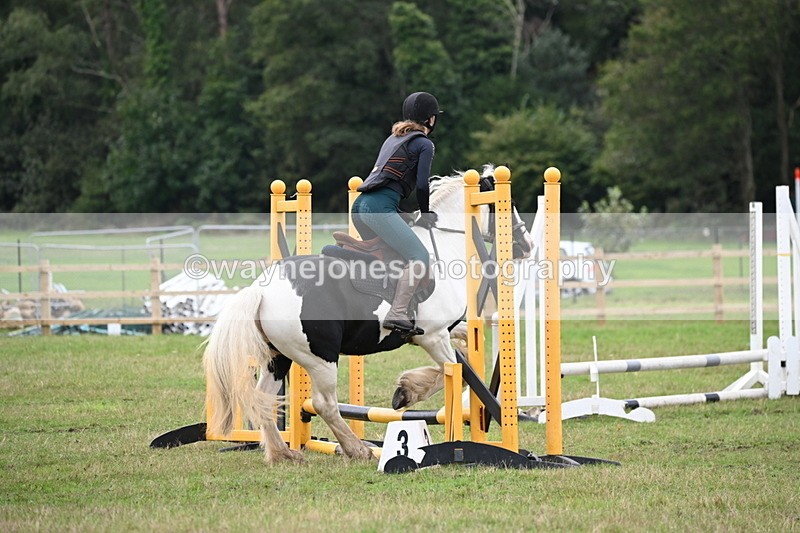 WJ6_0443 - 40cm Time 10:29 to 10:52