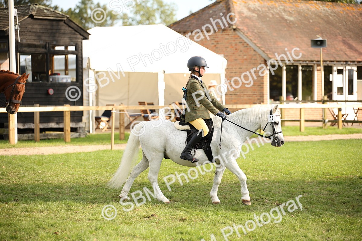 SBM_54245 - S27 - Mature Veteran - Ridden