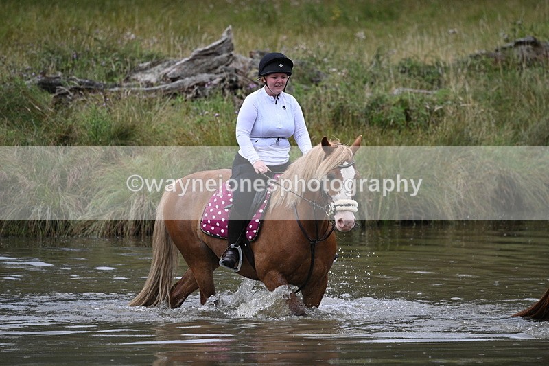 WJ7_5684 - Time at Water 14:54 to 15:14