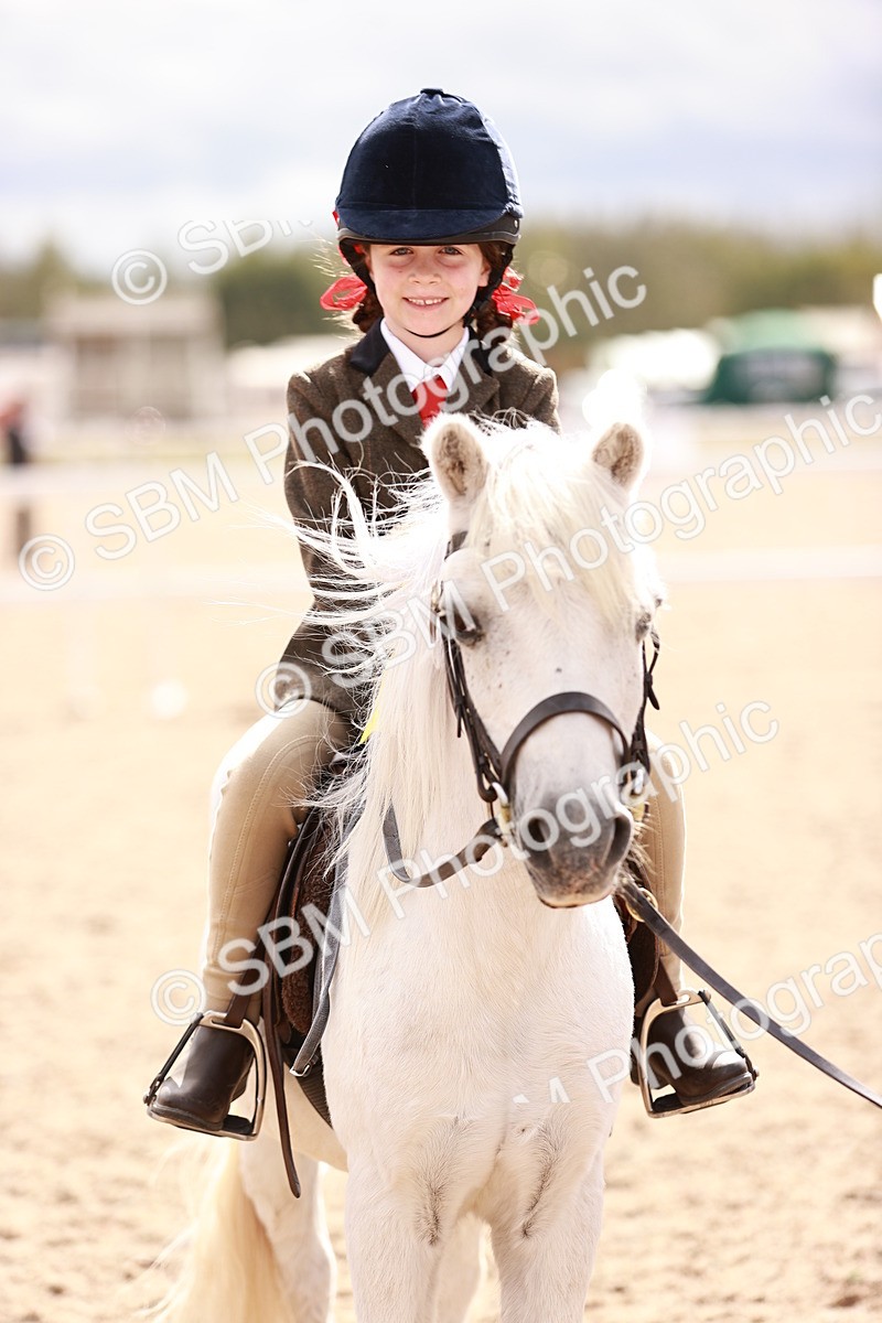 SBM_18346 - Class 417 - Handsome Gelding (IH or Ridden - JNR)