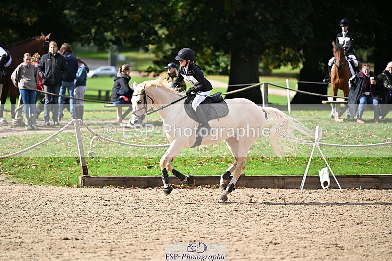 251005A-135522-04216 - Cls 09 Nov 80-85cm