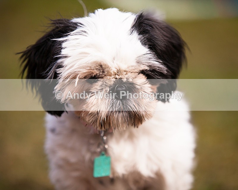 20130303-_MG_2704 - Pets