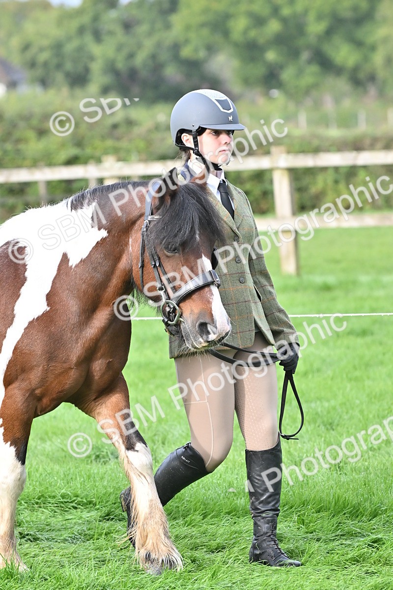 SBM_56854 - S45 - Coloured Pony In Hand