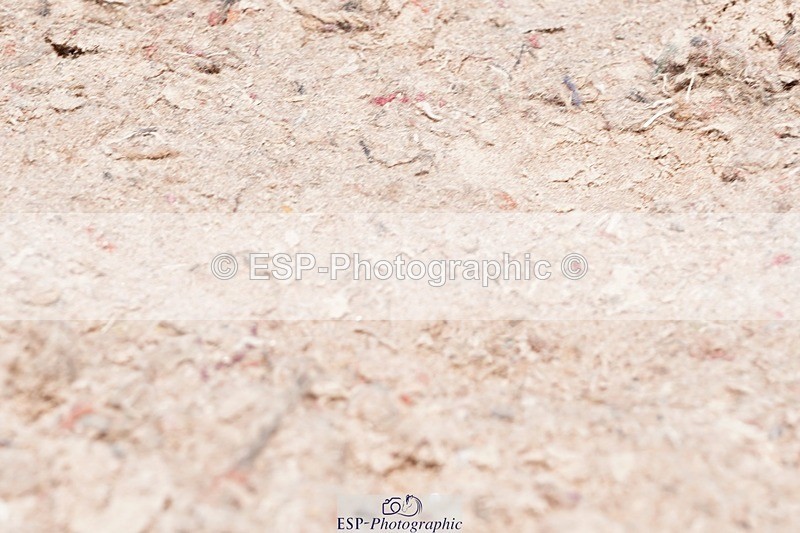 250510-141858-11507 - Cls 16 National 1.30m Open