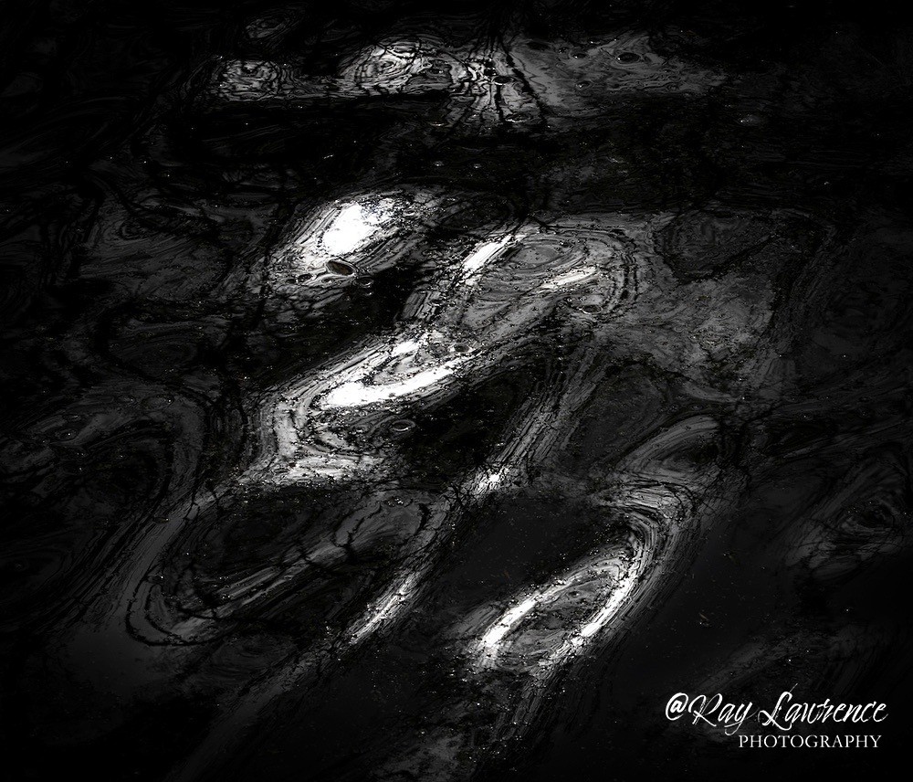 La Tour_RLP0068 - Double Take